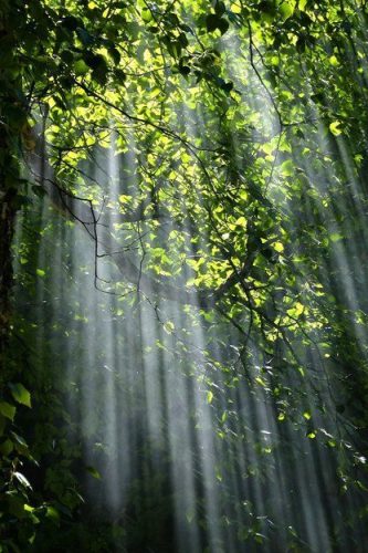 Nos valeurs : ISNAT asbl