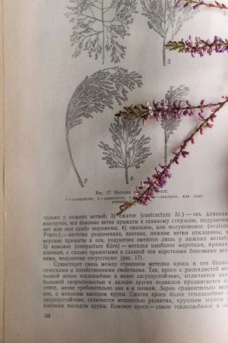 Les valeurs de l'ISNAT asbl. Institut supérieur de Naturopathie traditionnelle.